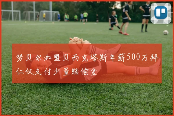 努贝尔加盟贝西克塔斯年薪500万拜仁仅支付少量赔偿金